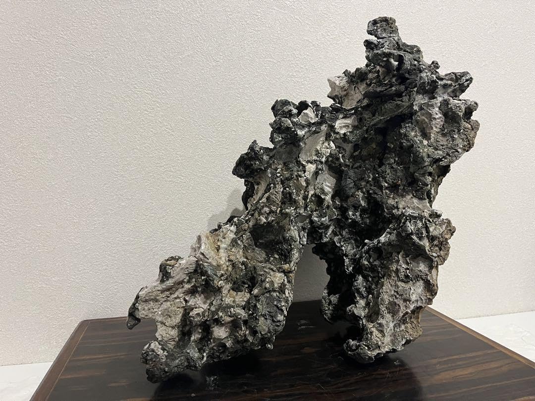 竜眼石 Amazon.co.jp: 大型揖斐石 揖斐川 龍眼石 竜眼石 竜岩石 龍岩石